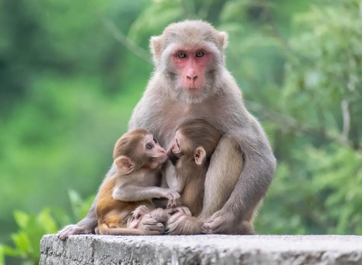 育児の中で見つけた自己管理スキル