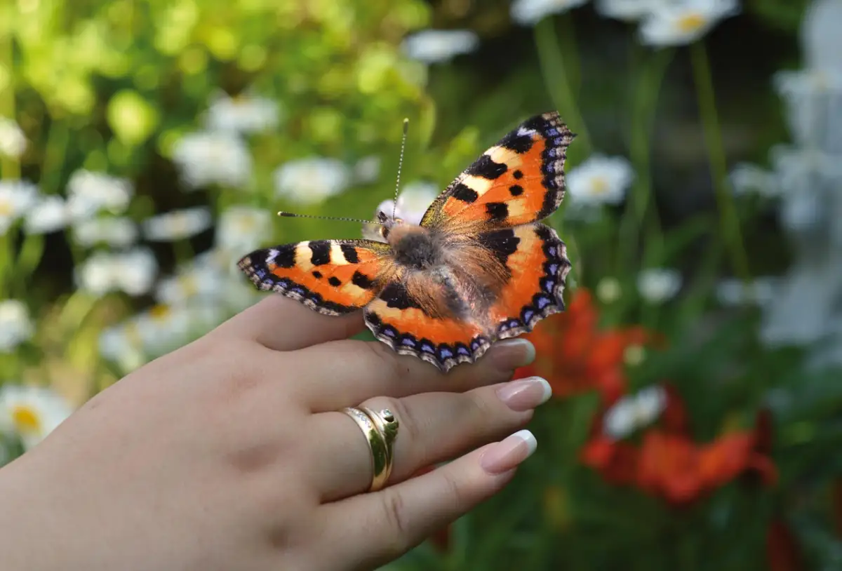 小さな成功体験から自信を育てる方法